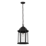Sevier Pendant