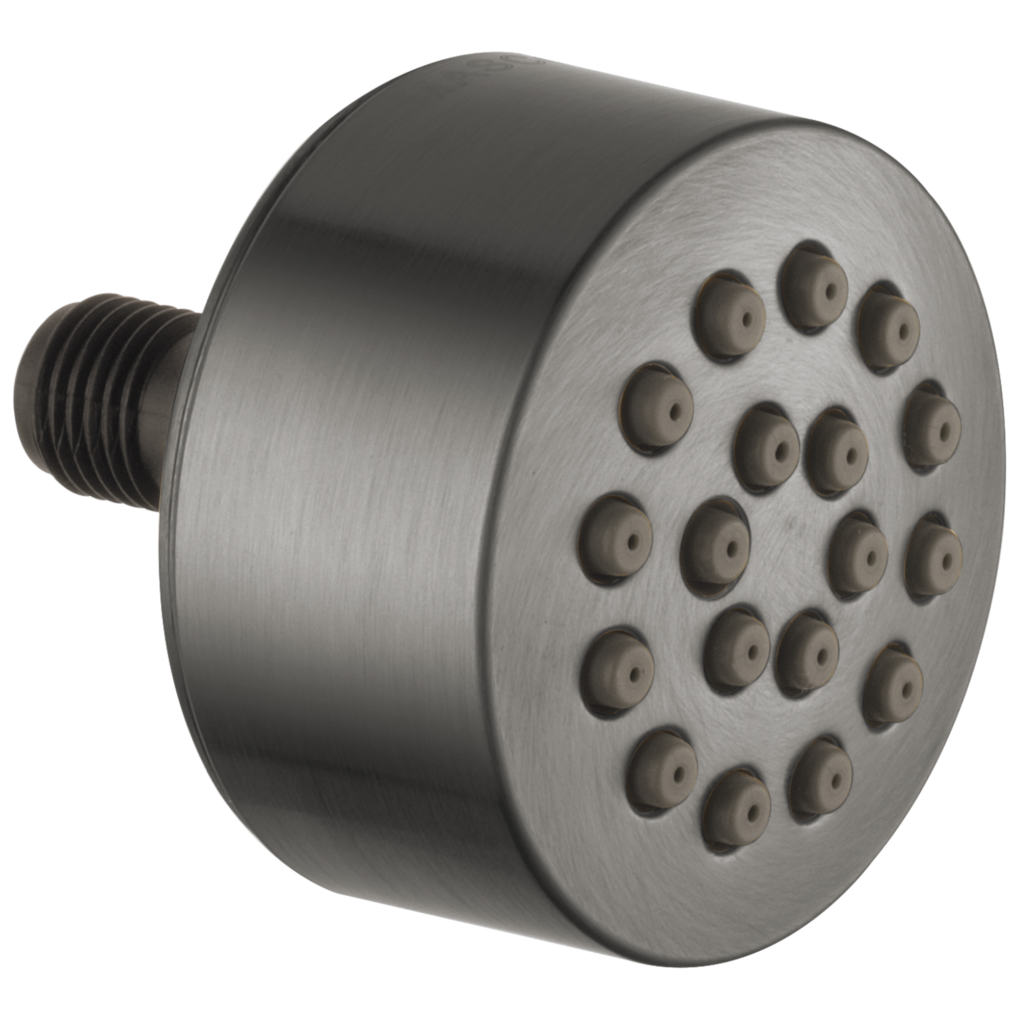 Brizo Levoir™ Hydrachoice® Touch-Clean® Spray Head