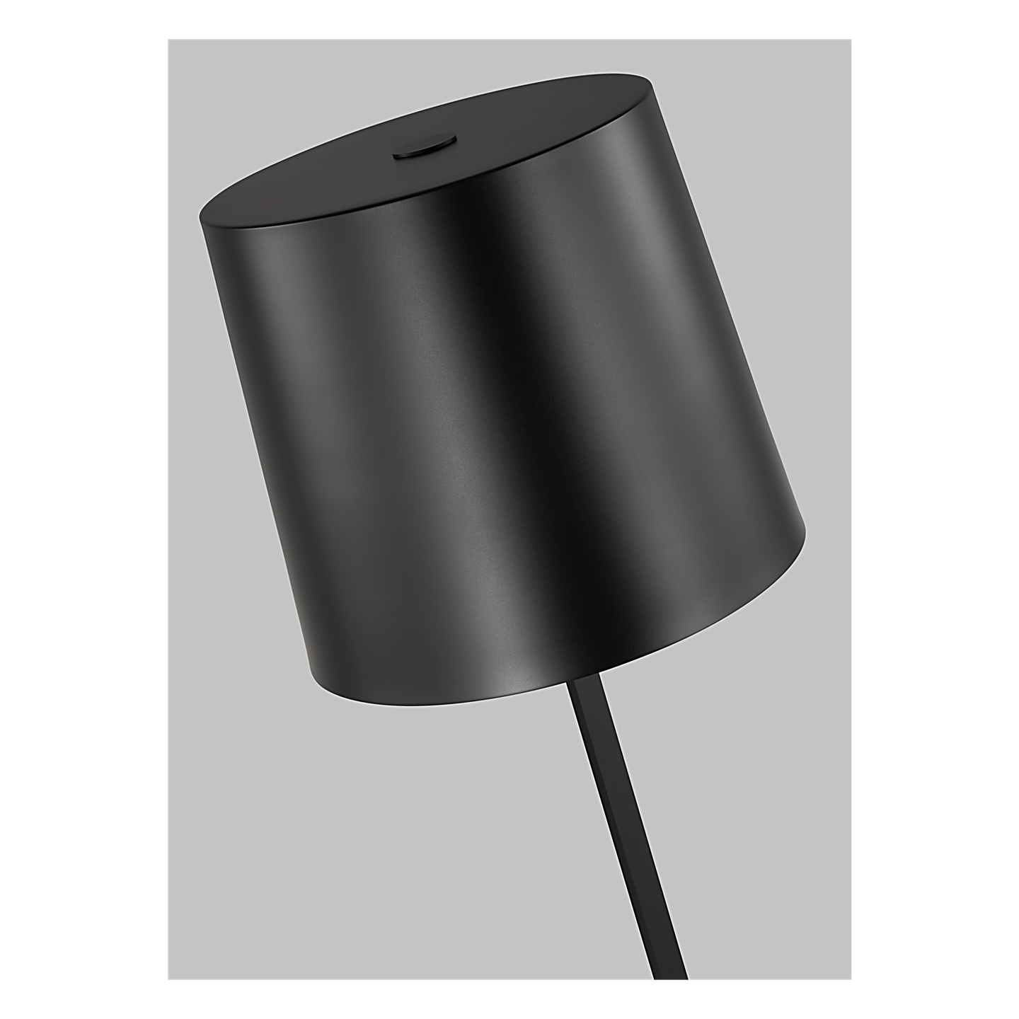 Lucia Outdoor Large Floor Lamp