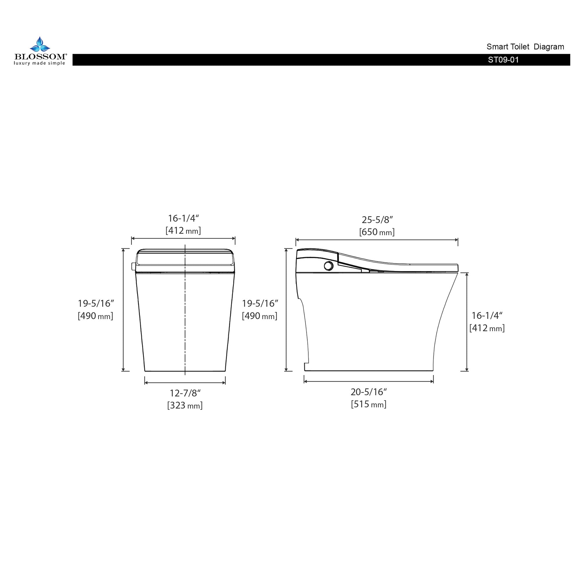 Smart Toilet ST09 01 – Luxury Bidet Toilet with Remote Control