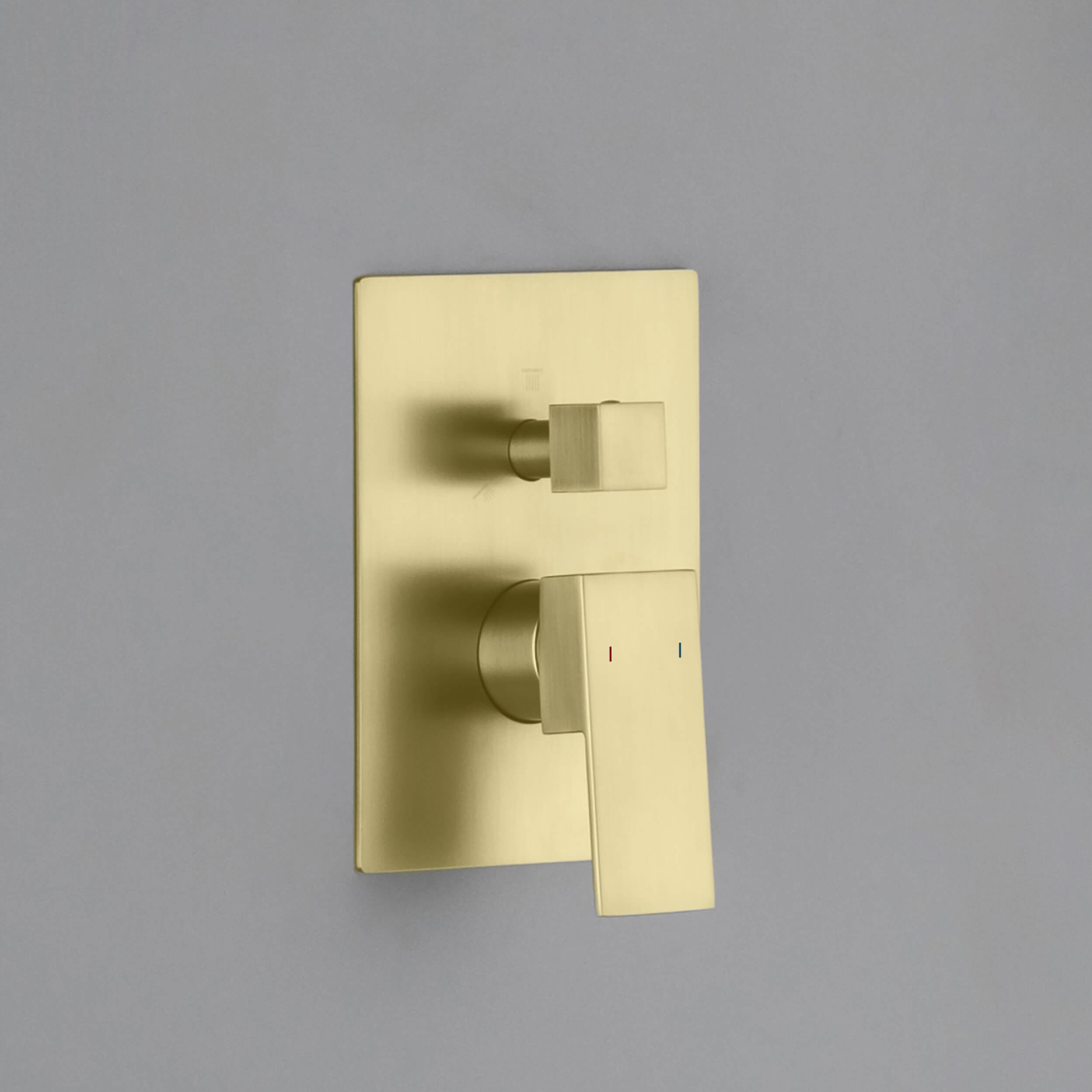 Quadro 2 Function Rough-in Valve Trim Plate