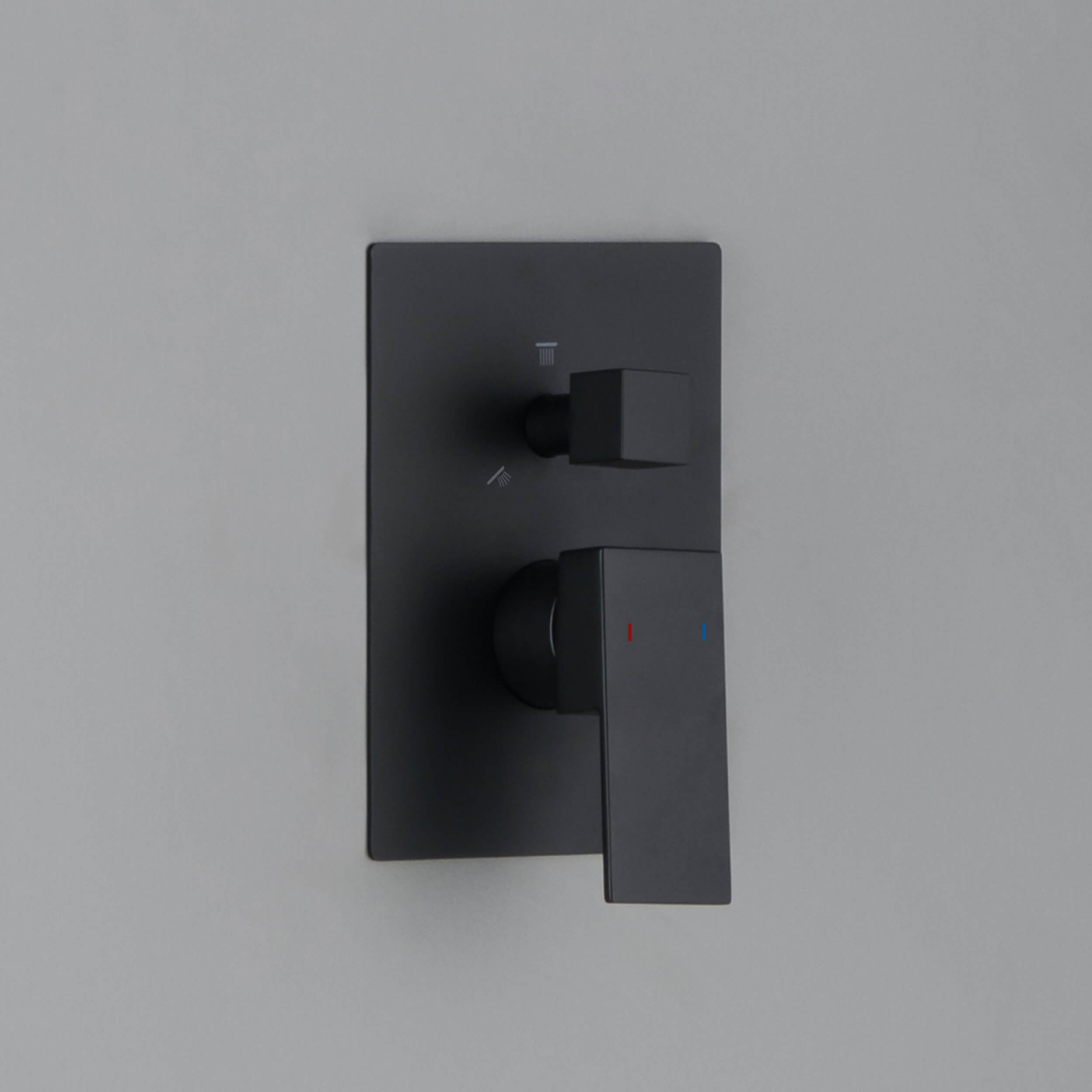 Quadro 2 Function Rough-in Valve Trim Plate