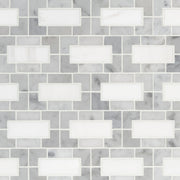 Bianco Dolomite Lynx Polished Marble Tile