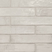 Stella Rhino 2X10 Glossy