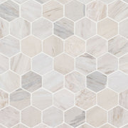 Angora Polished 2" Hexagon Mosaic Tile