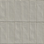 Zest Aloe 2.5x8 Satin Ceramic Wall Tile – Pastel Green Zellige Style