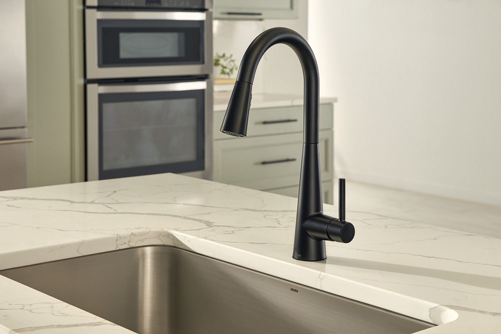 Sleek One-Handle High Arc Pulldown Kitchen Faucet
