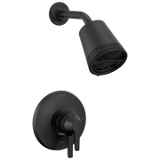 Delta Galeon™ 17 Series Shower Trim with Cylinder SH