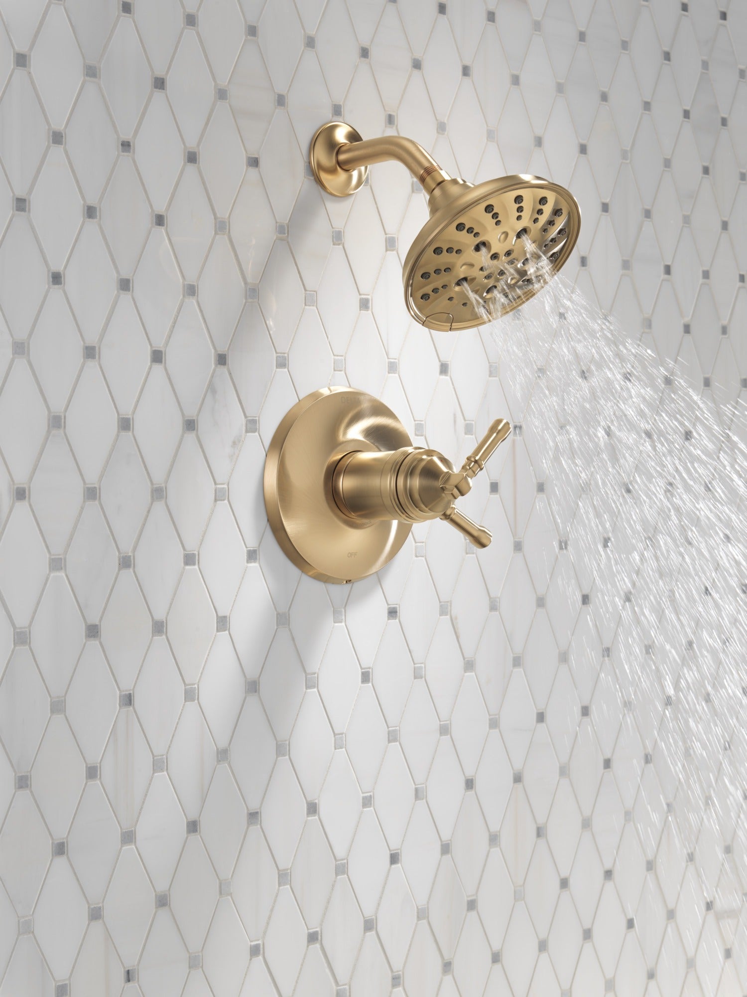 Delta Broderick® 17T Series Shower Trim