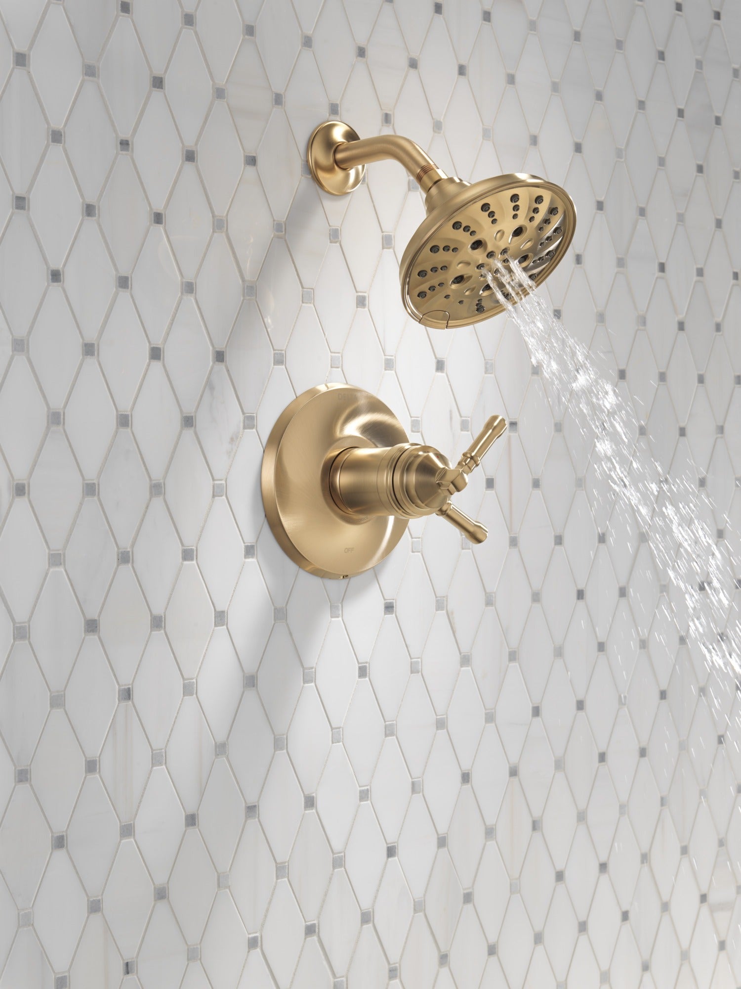 Delta Broderick® 17T Series Shower Trim