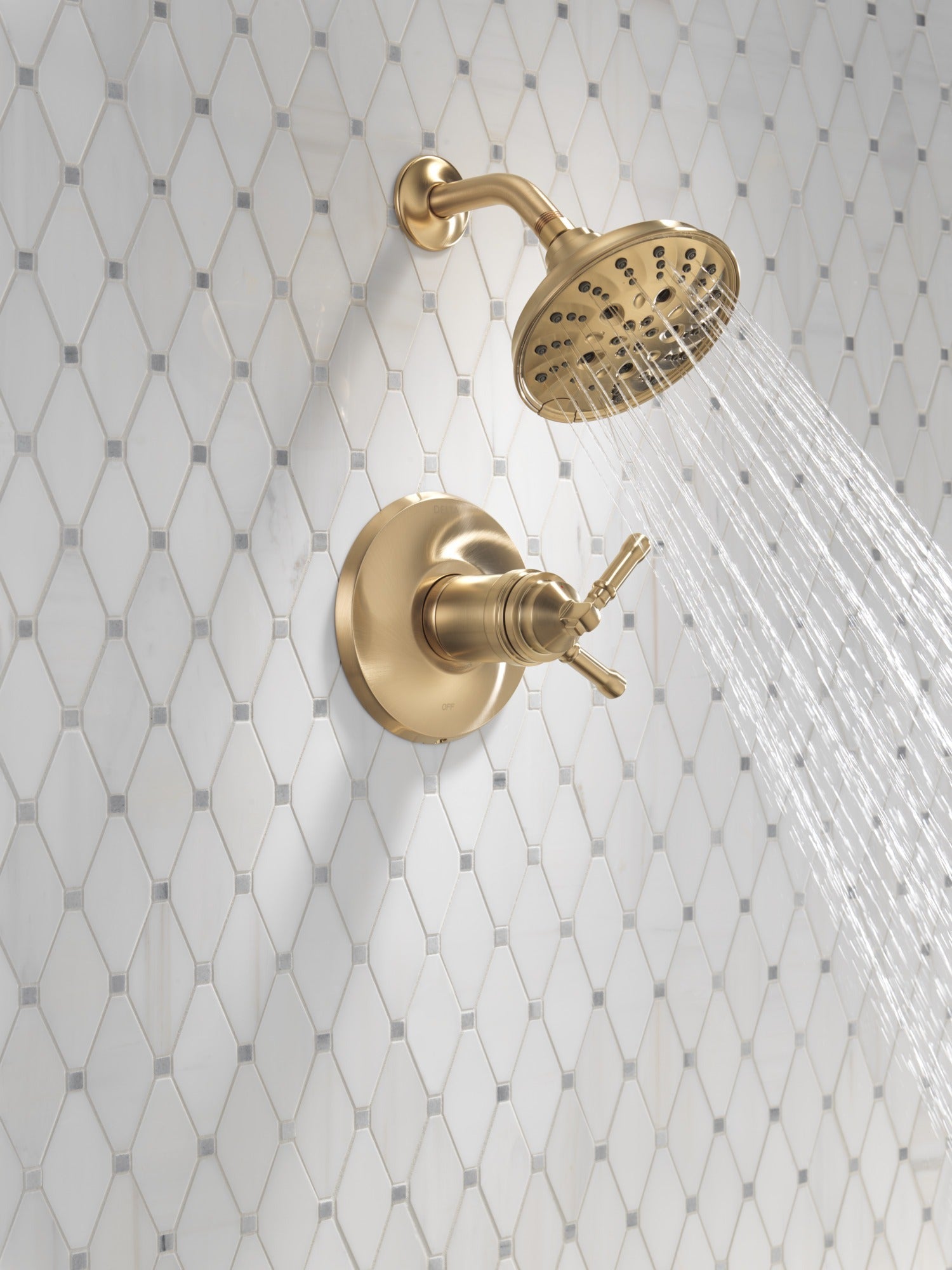 Delta Broderick® 17T Series Shower Trim