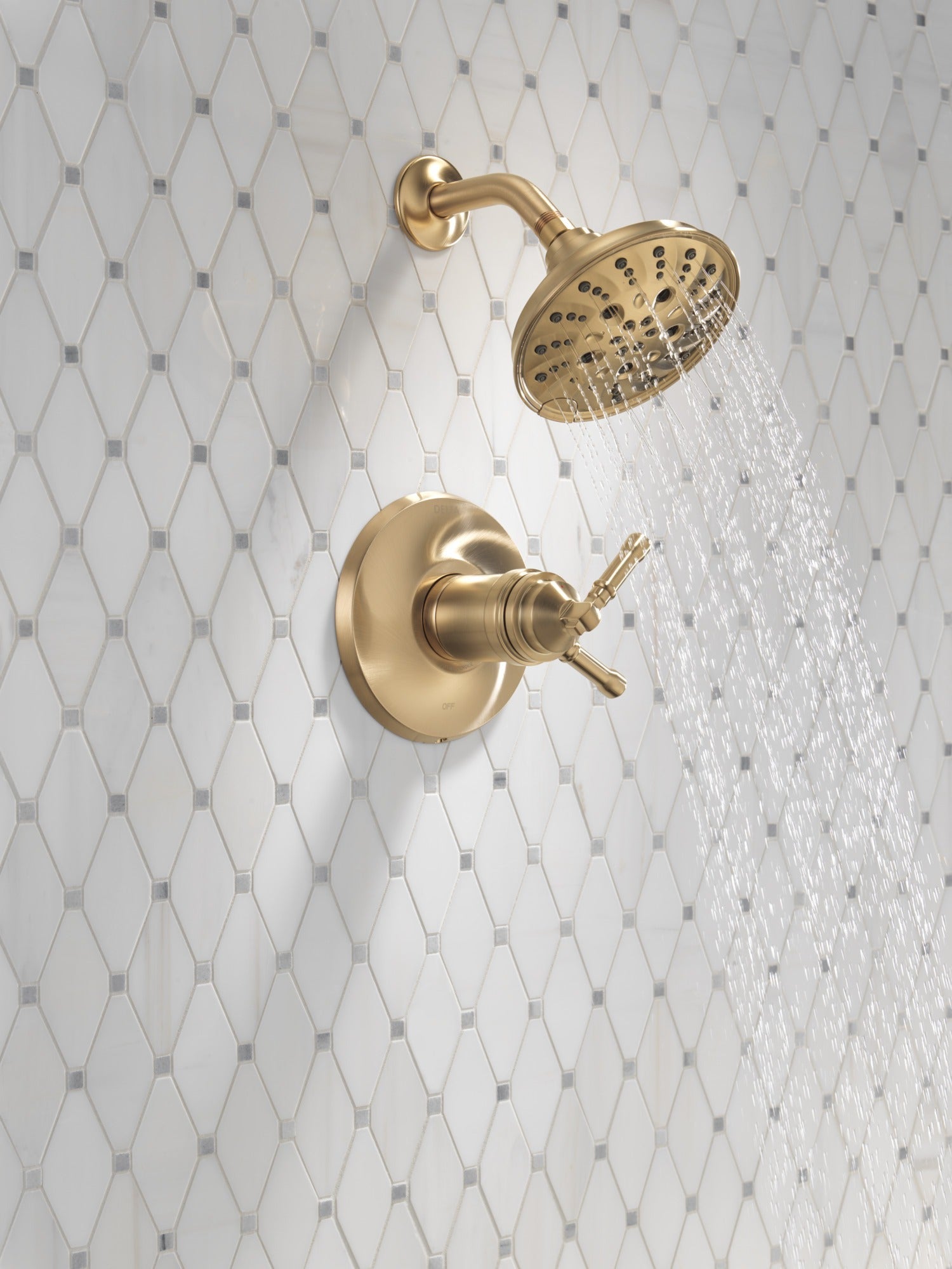 Delta Broderick® 17T Series Shower Trim