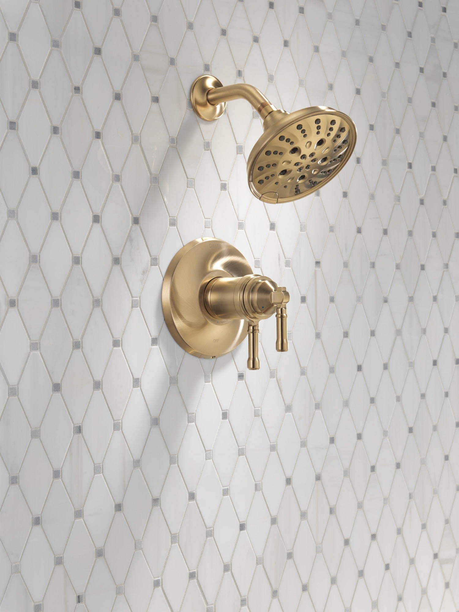 Delta Broderick® 17T Series Shower Trim