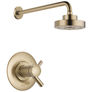 Brizo Odin® Tempassure Thermostatic Shower Trim