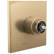 Brizo Frank Lloyd Wright® Pressure Balance Valve Only Trim - Less Handle