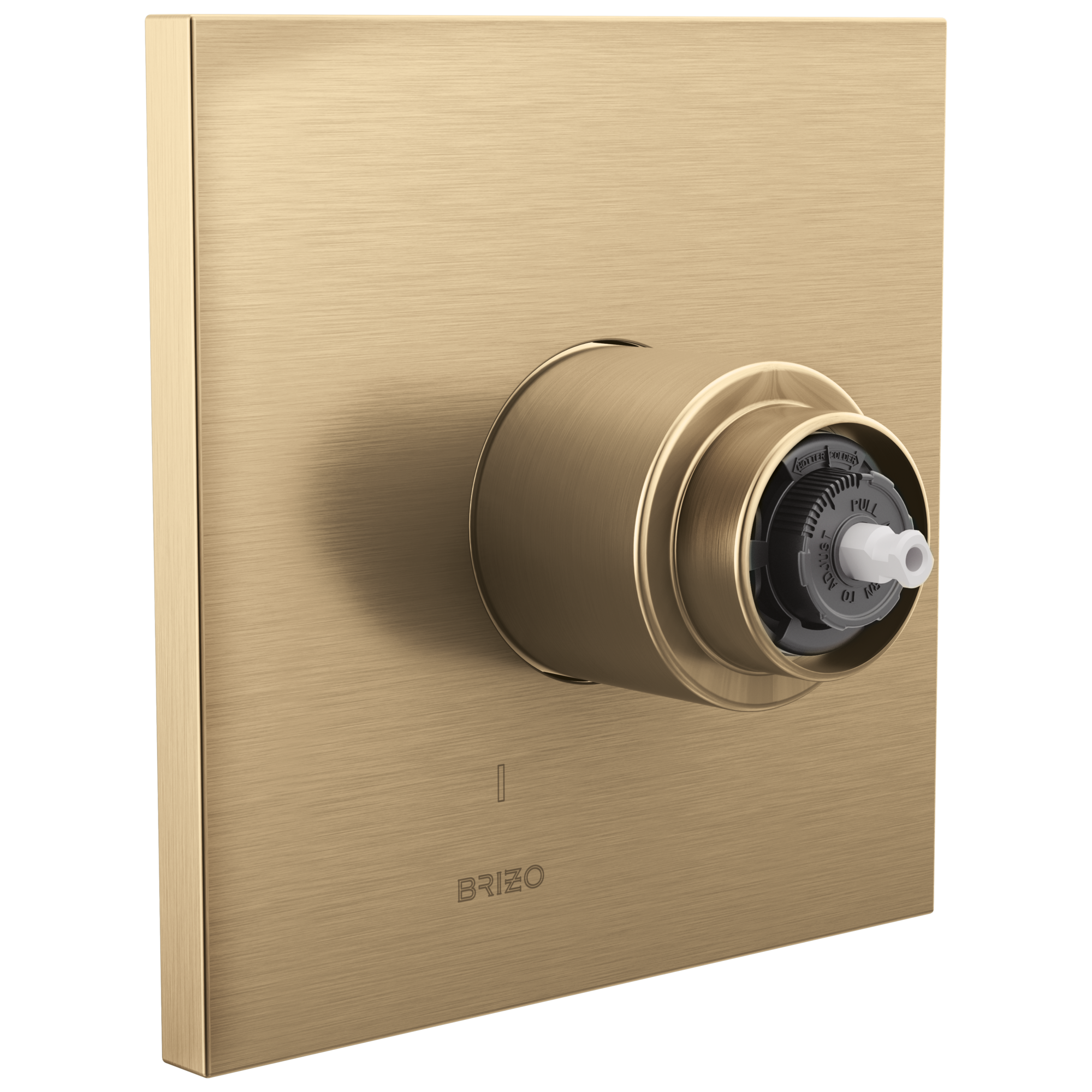 Brizo Frank Lloyd Wright® Pressure Balance Valve Only Trim - Less Handle