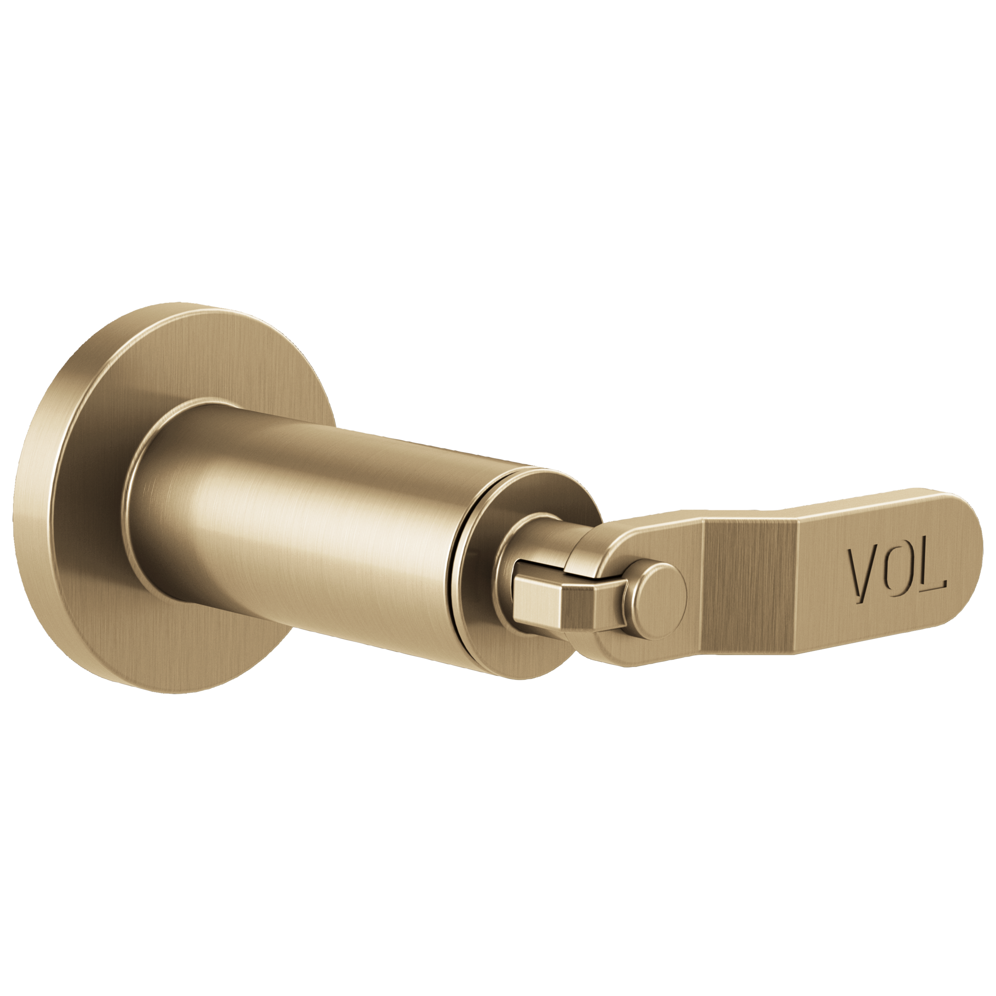 Brizo Litze® Sensori® Volume Control Trim - Industrial Lever