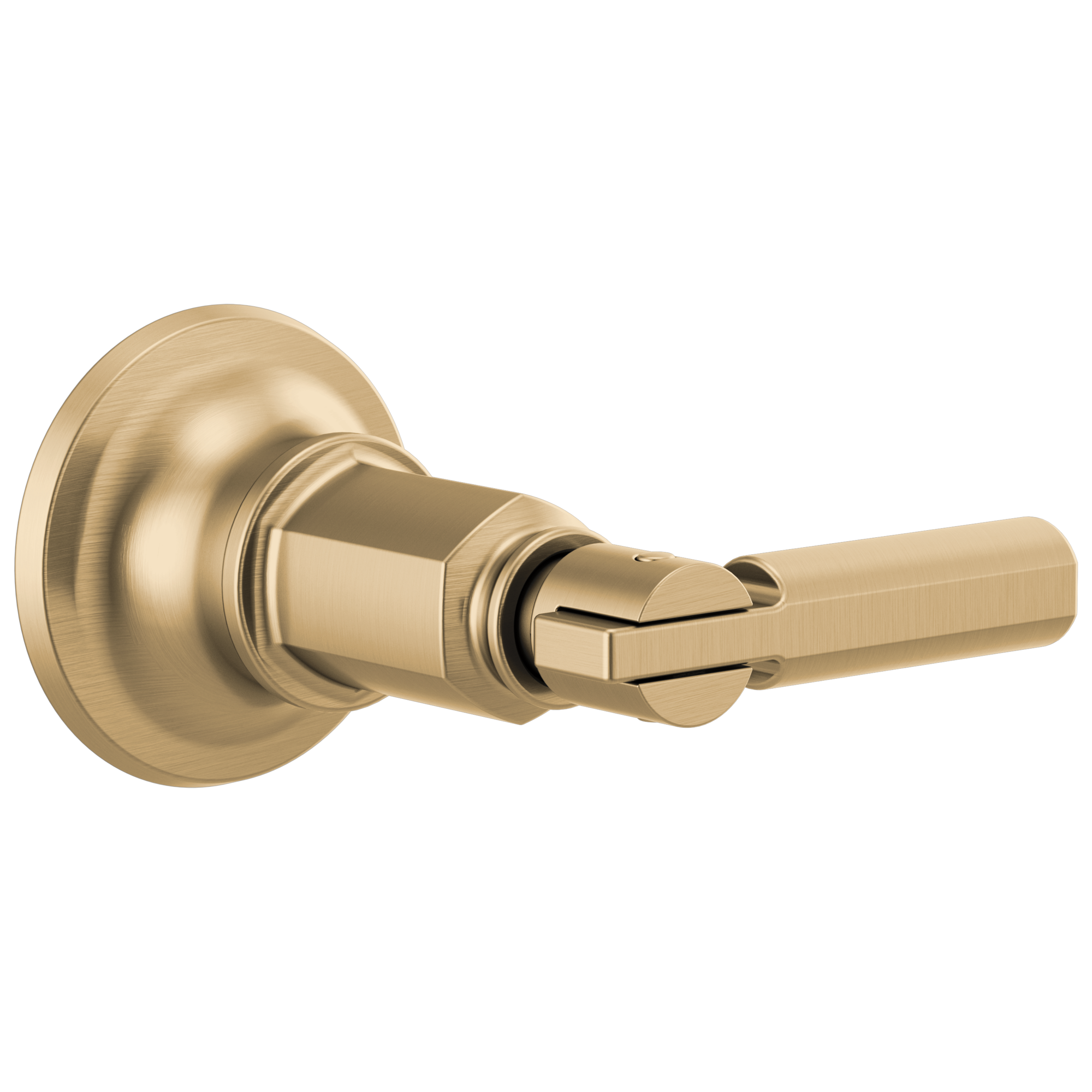 Brizo Invari® Sensori® Volume Control Trim With Lever Handle