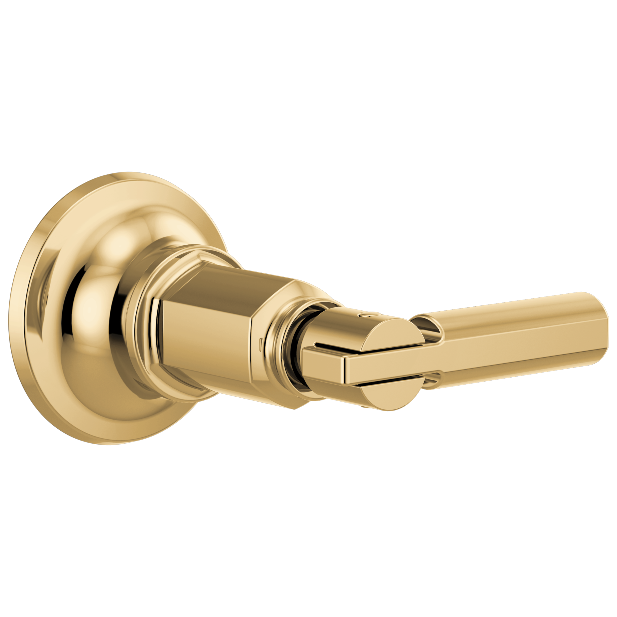 Brizo Invari® Sensori® Volume Control Trim With Lever Handle