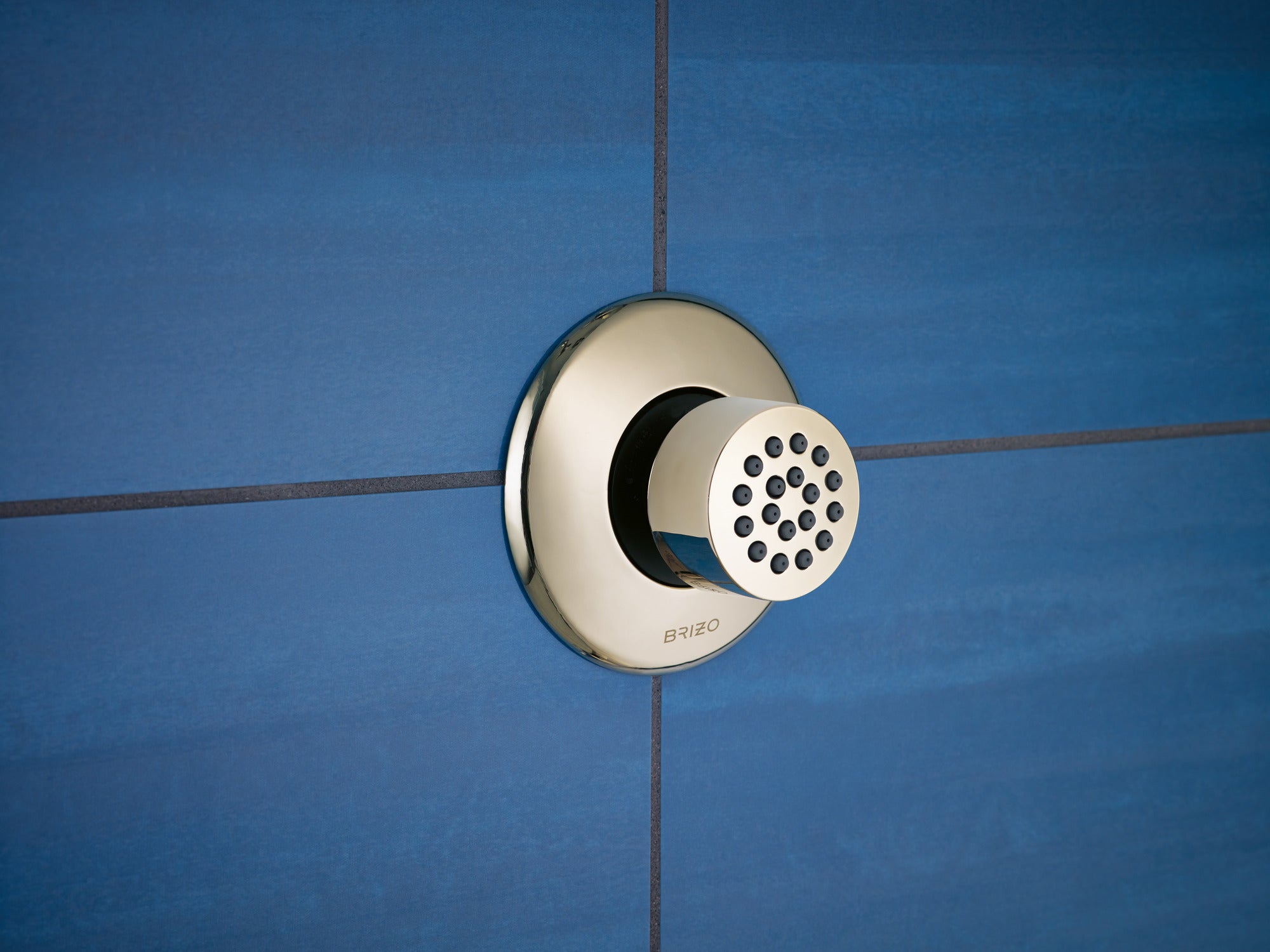 Brizo Other Hydrachoice® Touch-Clean® Spray Head