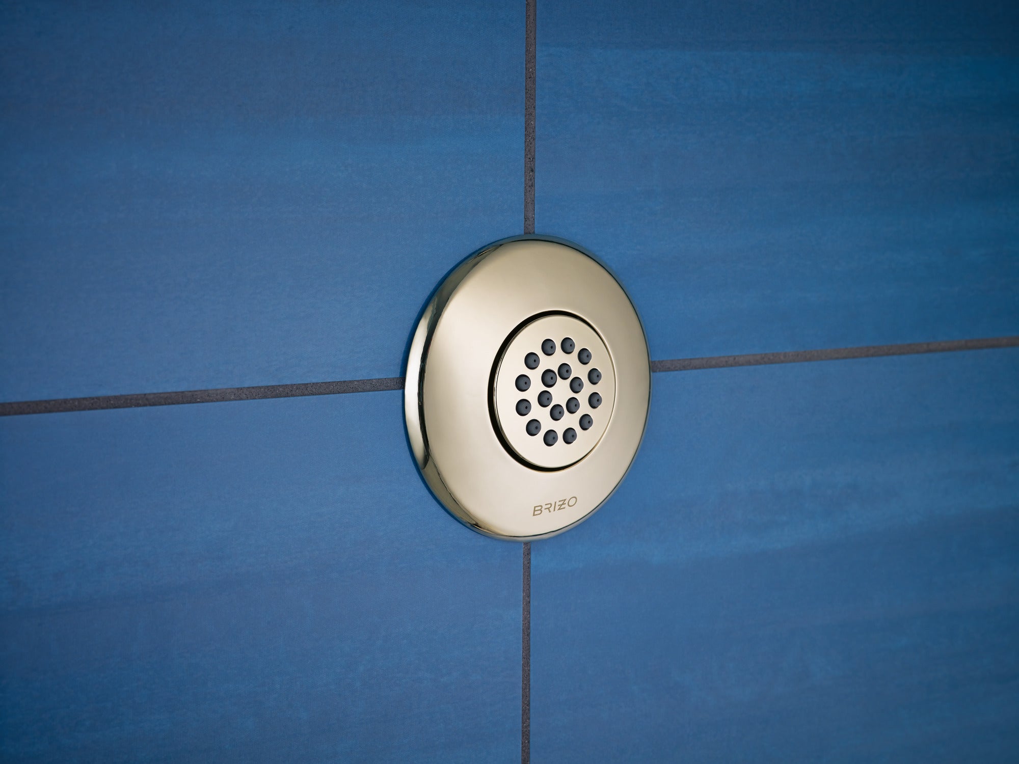 Brizo Other Hydrachoice® Touch-Clean® Spray Head