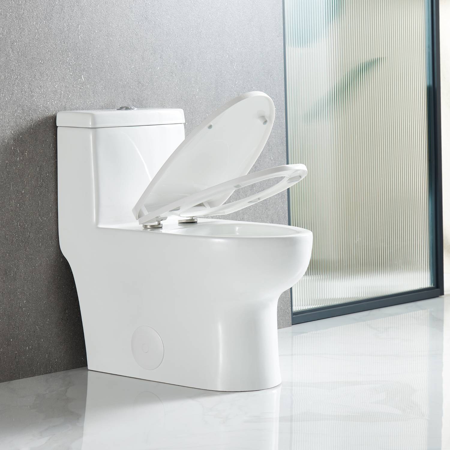 One Piece Toilet T9 01 – Compact Dual-Flush Toilet with Nanoglaze