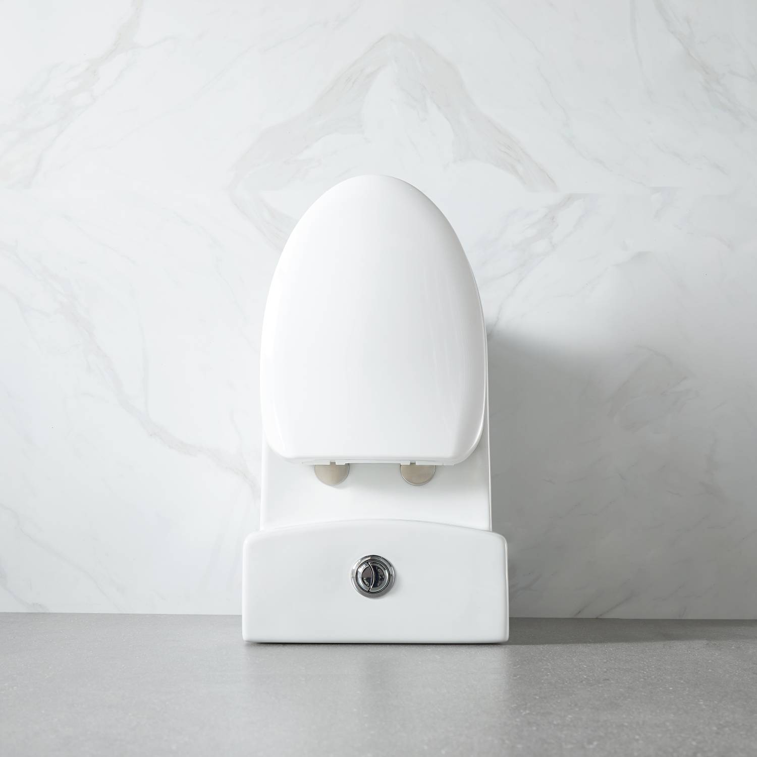 One Piece Toilet T9 01 – Compact Dual-Flush Toilet with Nanoglaze