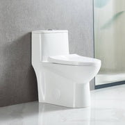 Blossom One Piece Toilet T9 02