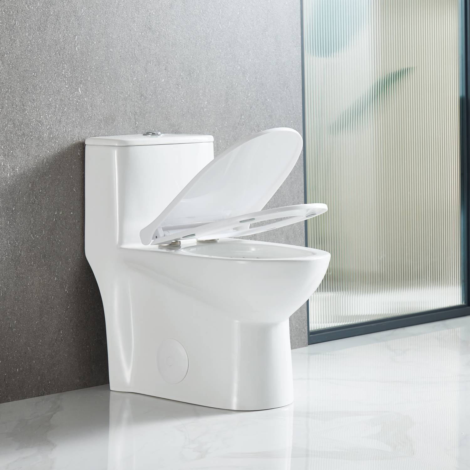 Blossom One Piece Toilet T9 02
