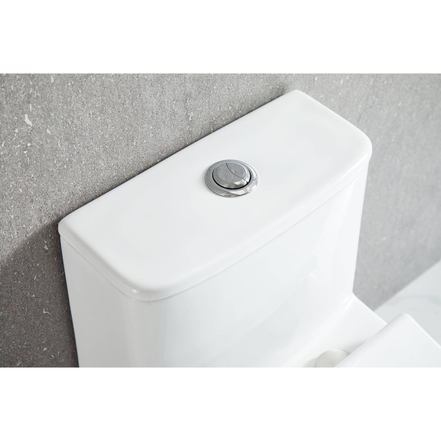 Blossom One Piece Toilet T9 02