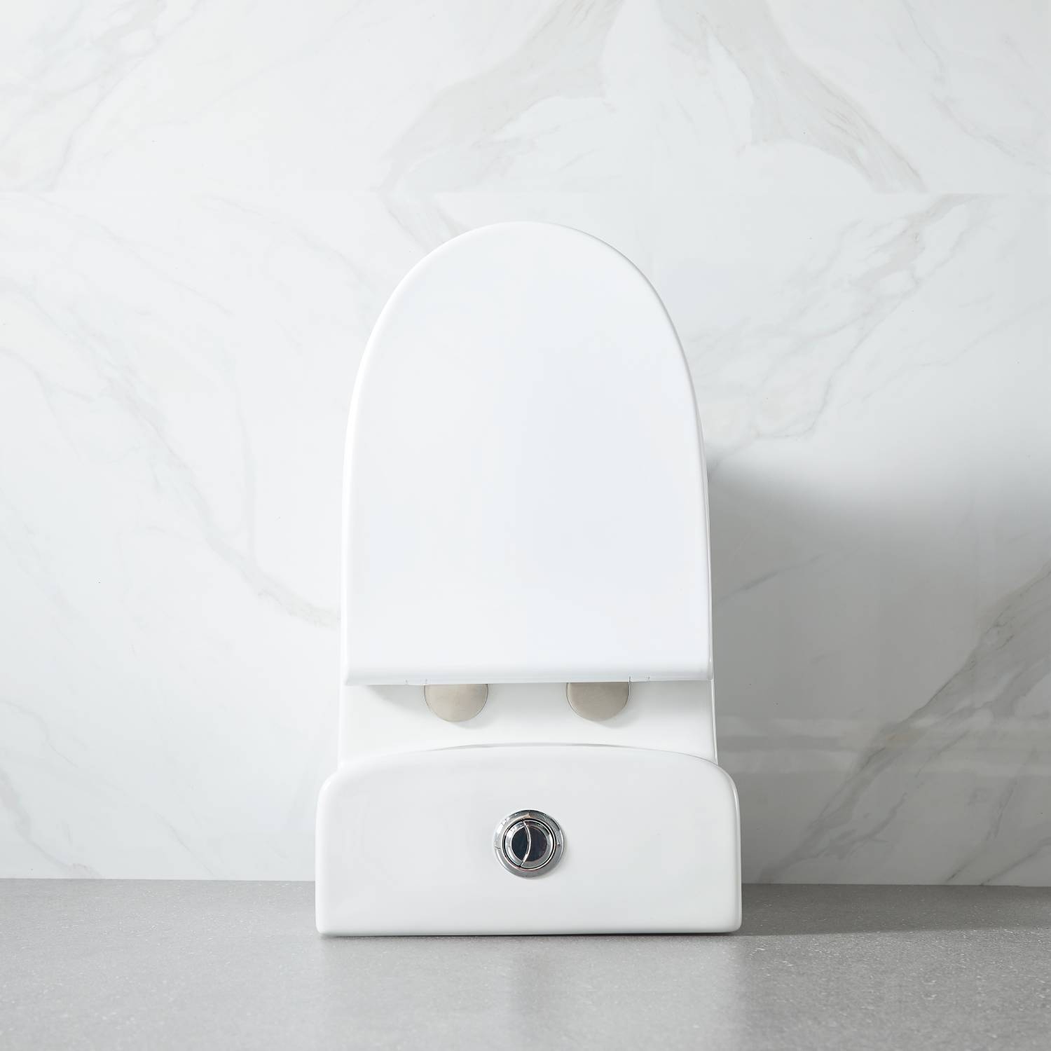 Blossom One Piece Toilet T9 02