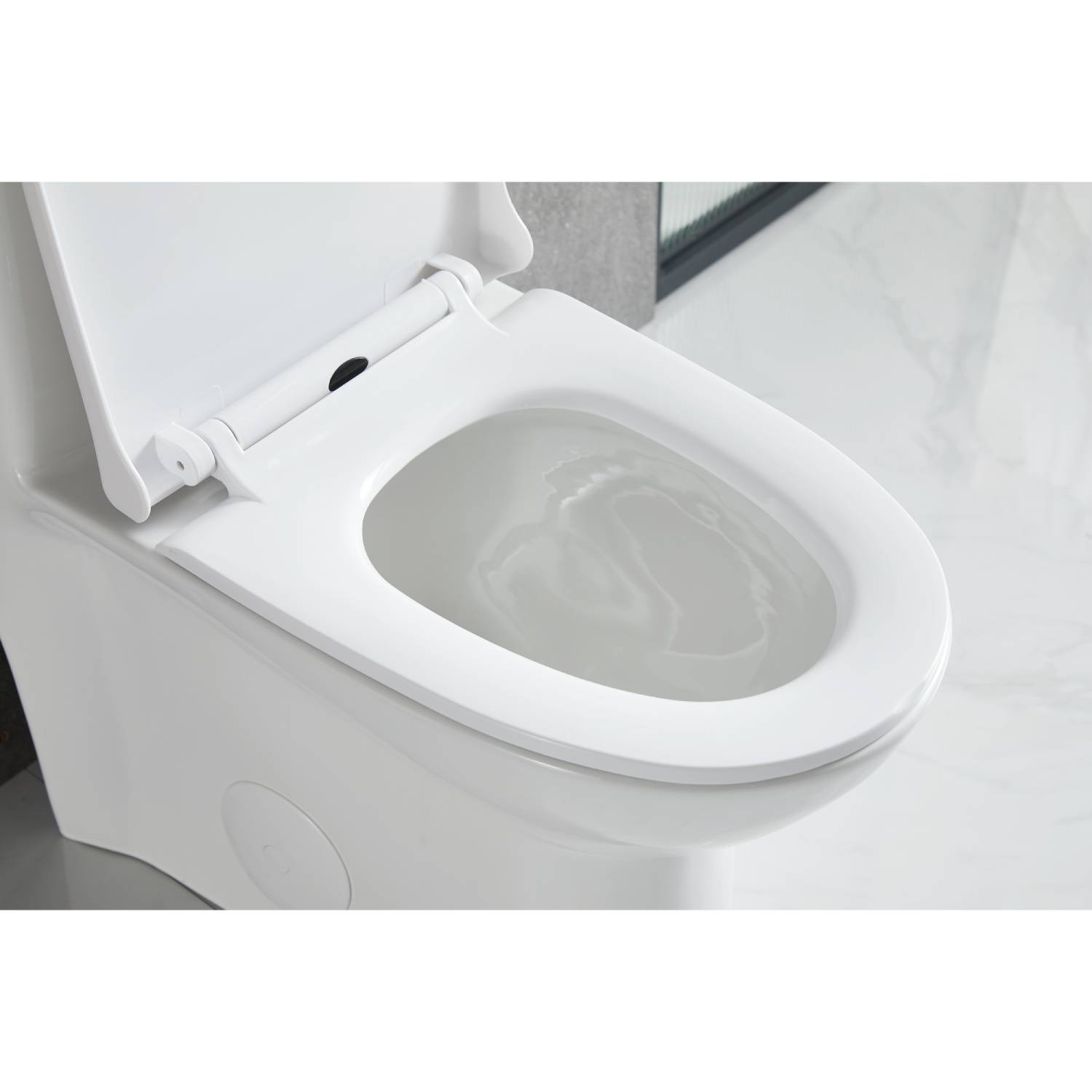 Blossom One Piece Toilet T9 02