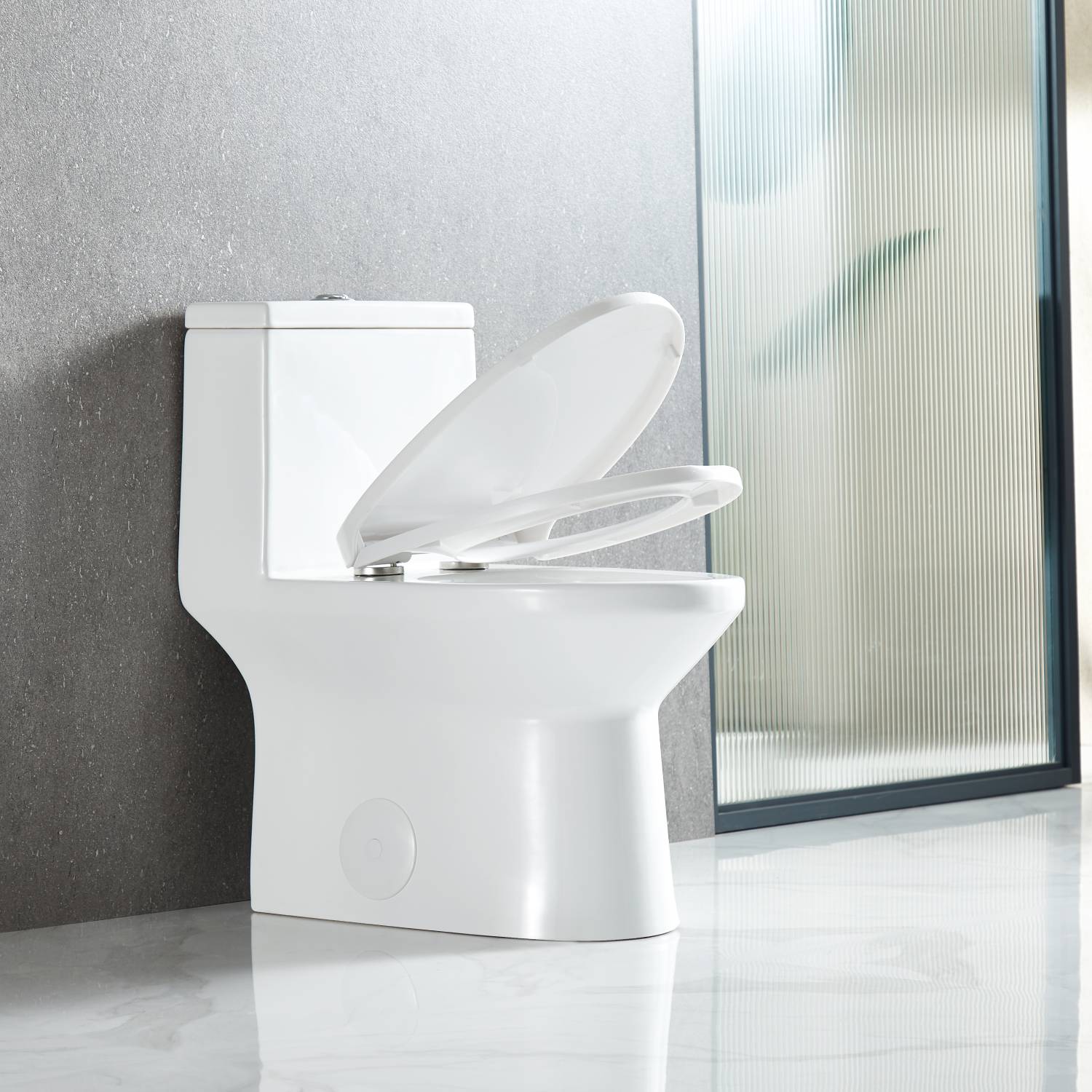 Blossom One Piece Toilet T9 04 – ADA Height Dual Flush Modern Design