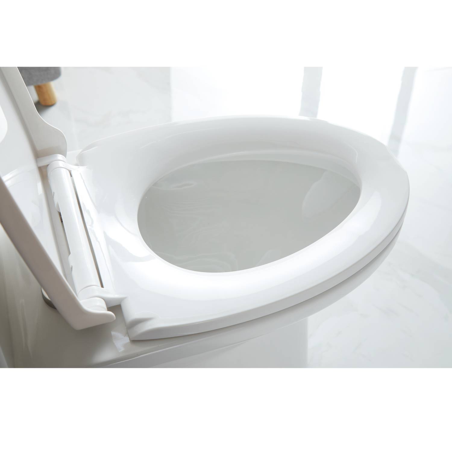 Blossom One Piece Toilet T9 04 – ADA Height Dual Flush Modern Design