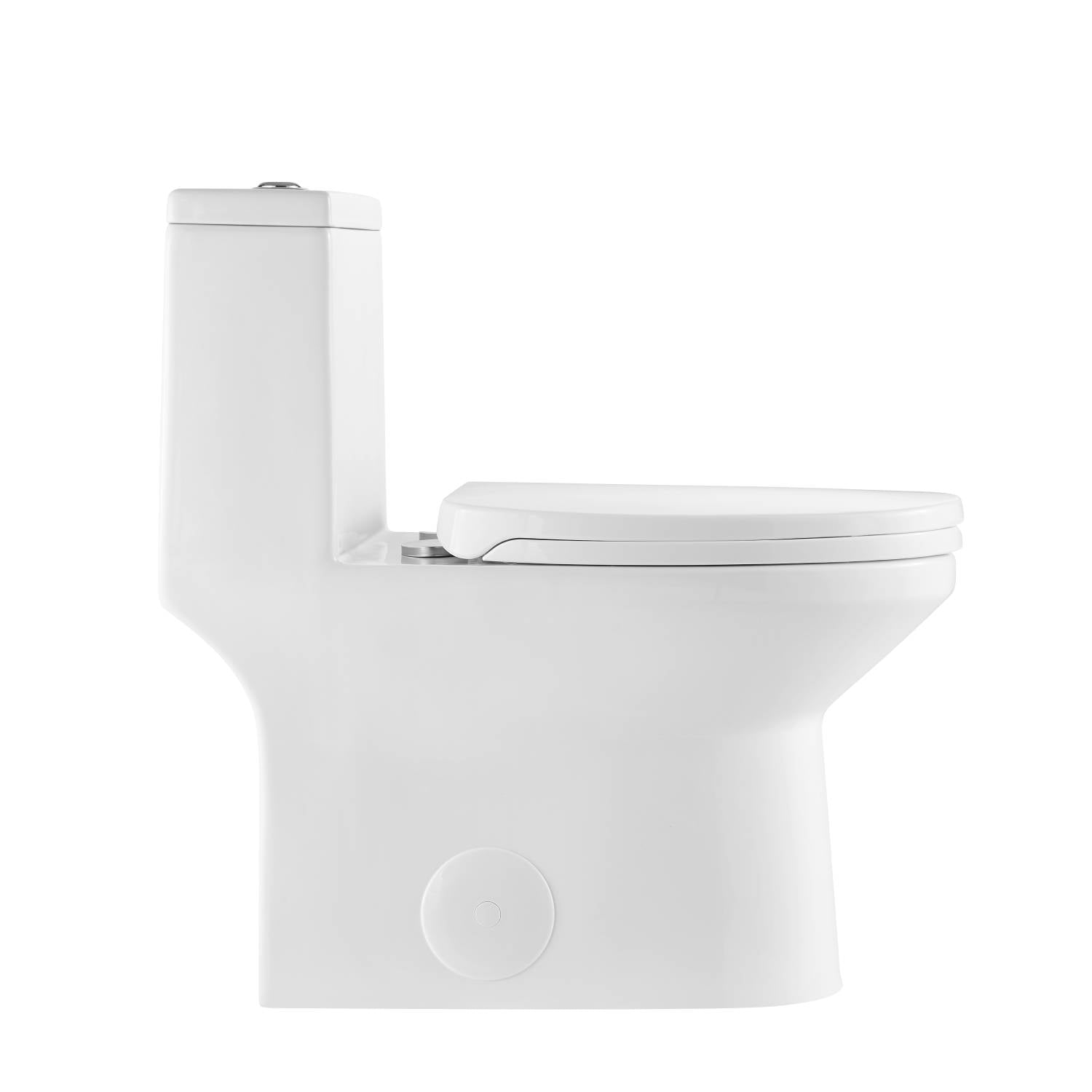 Blossom One Piece Toilet T9 04 – ADA Height Dual Flush Modern Design