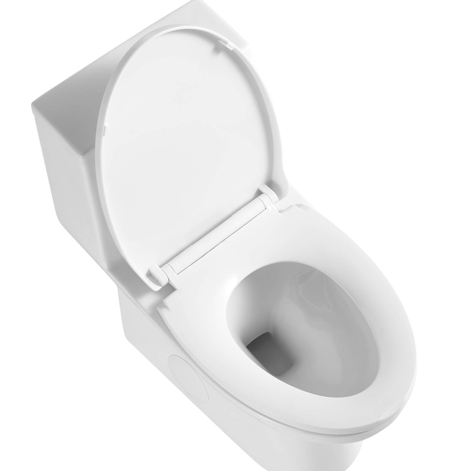 Blossom One Piece Toilet T9 04 – ADA Height Dual Flush Modern Design