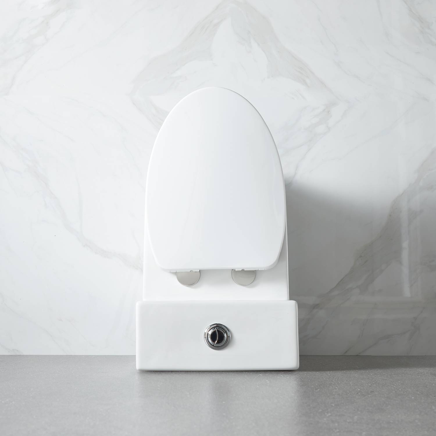 Blossom One Piece Toilet T9 04
