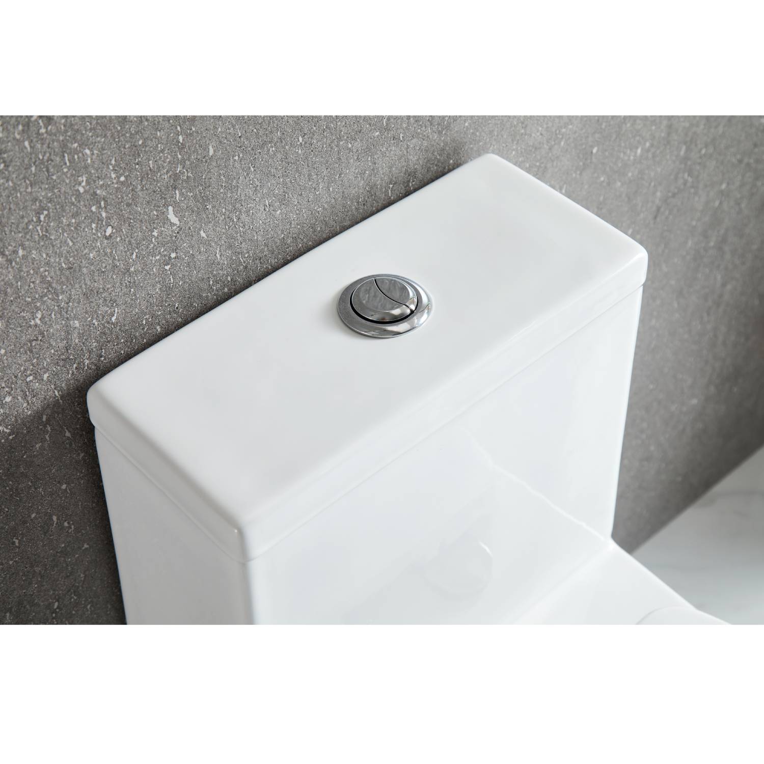 Blossom One Piece Toilet T9 04