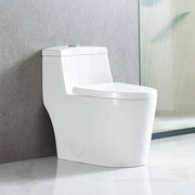 Blossom One Piece Toilet T9 05