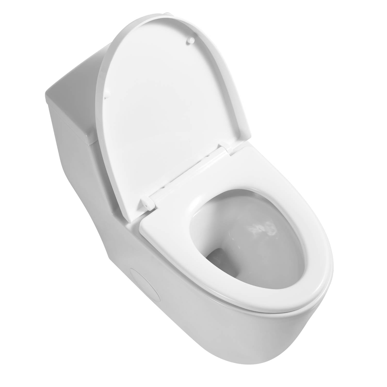 Blossom One Piece Toilet T9 05