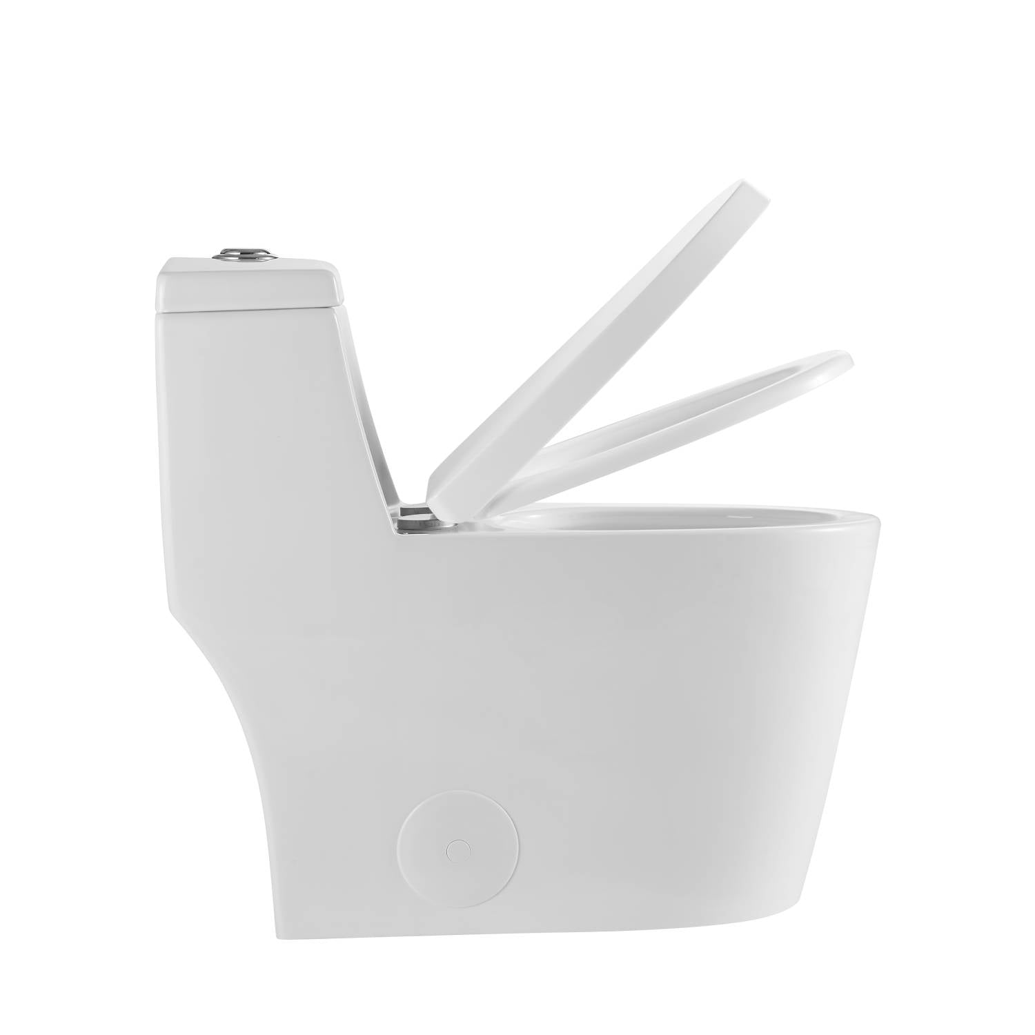 Blossom One Piece Toilet T9 05