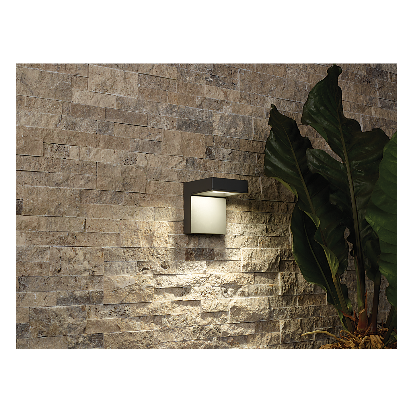 Taag 6 Outdoor Wall