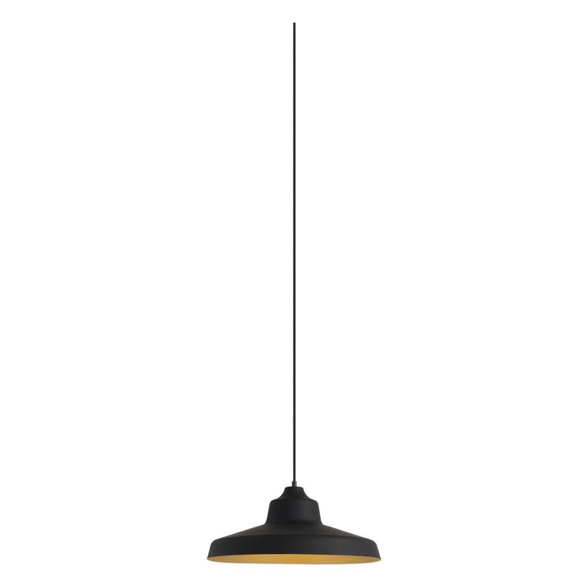 Zevo Pendant