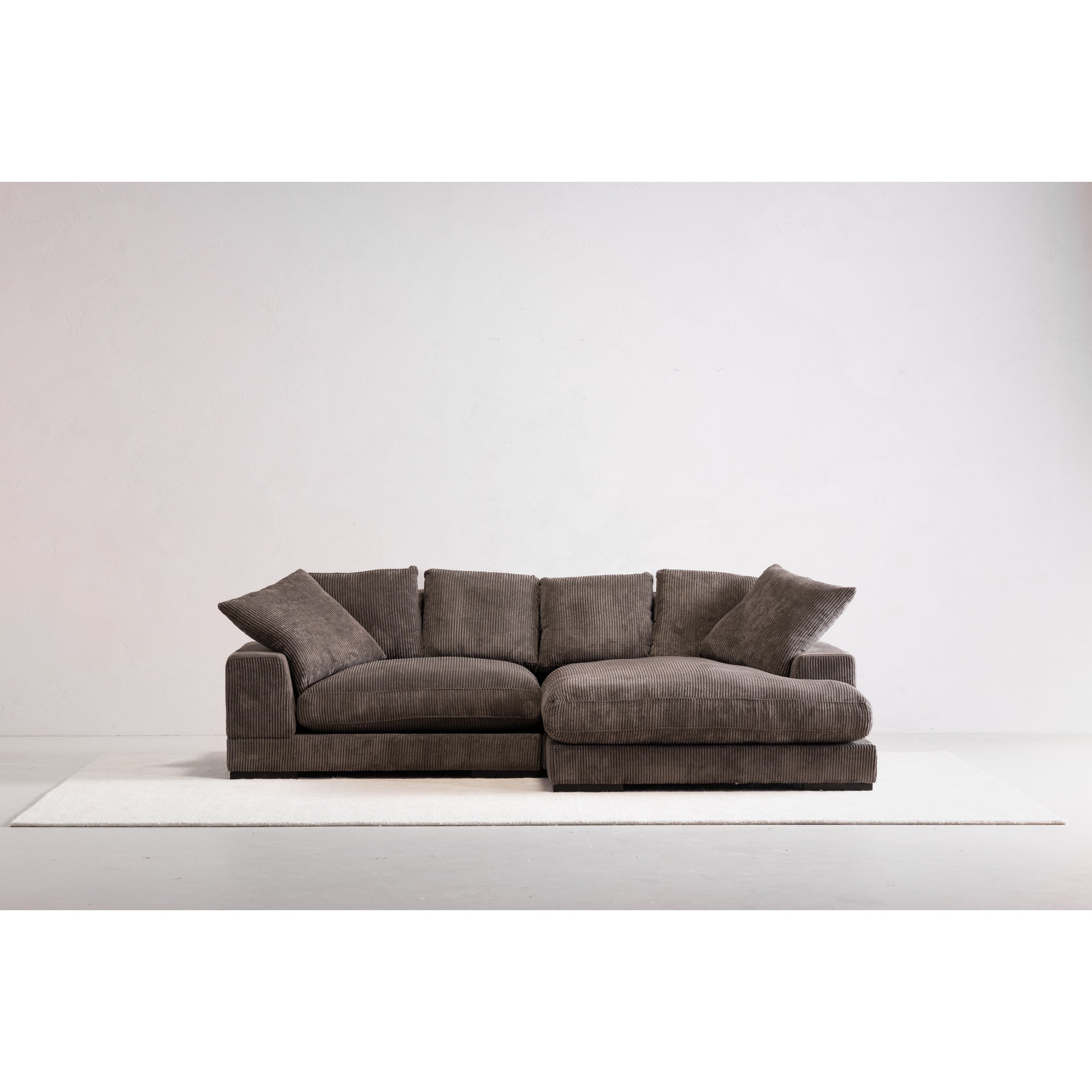 Moes Plunge Sectional Charcoal TN-1004-25-0