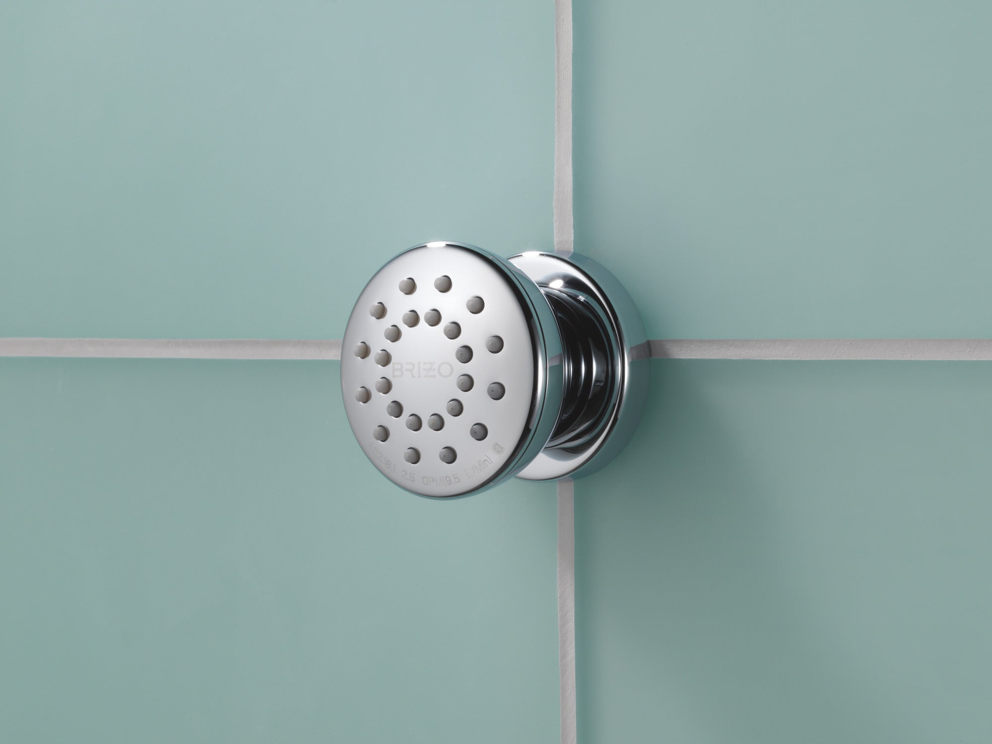 Brizo Essential™ Shower Touch-Clean® Round Body Spray
