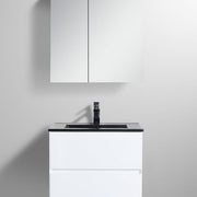 Assisi 24" Vanity