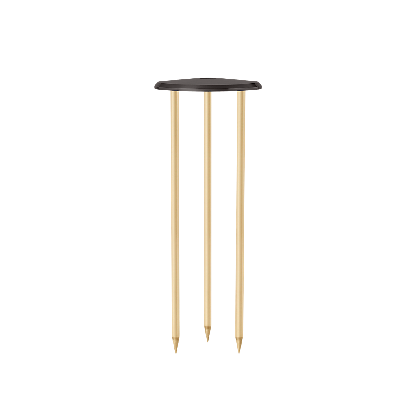 12" Trident Spike