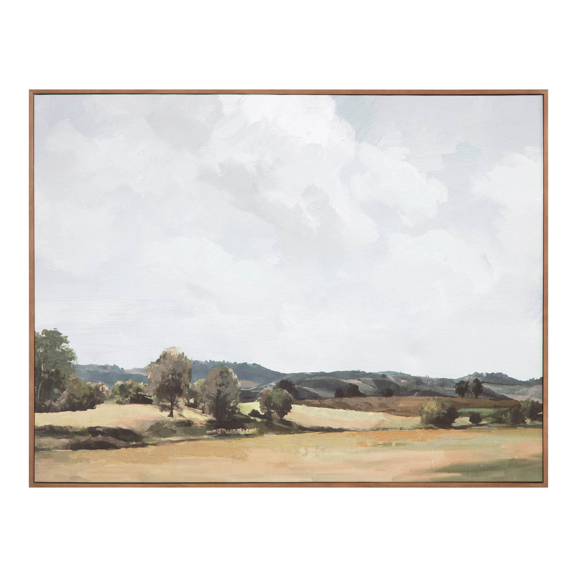 Moes Vast Country Framed Painting WP-1265-37