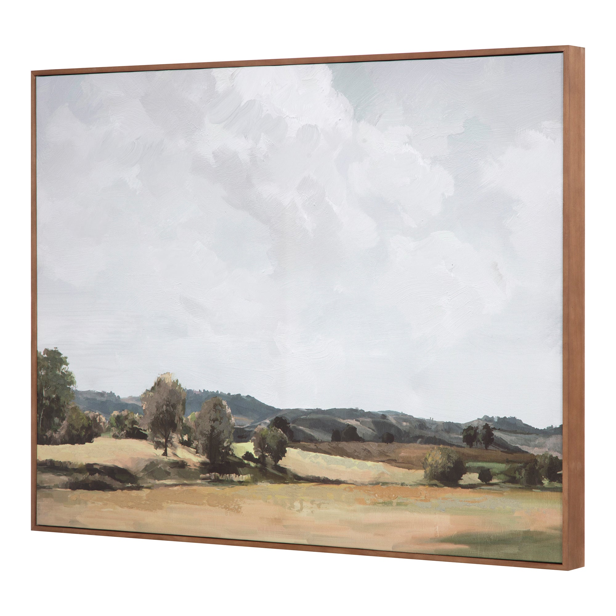 Moes Vast Country Framed Painting WP-1265-37