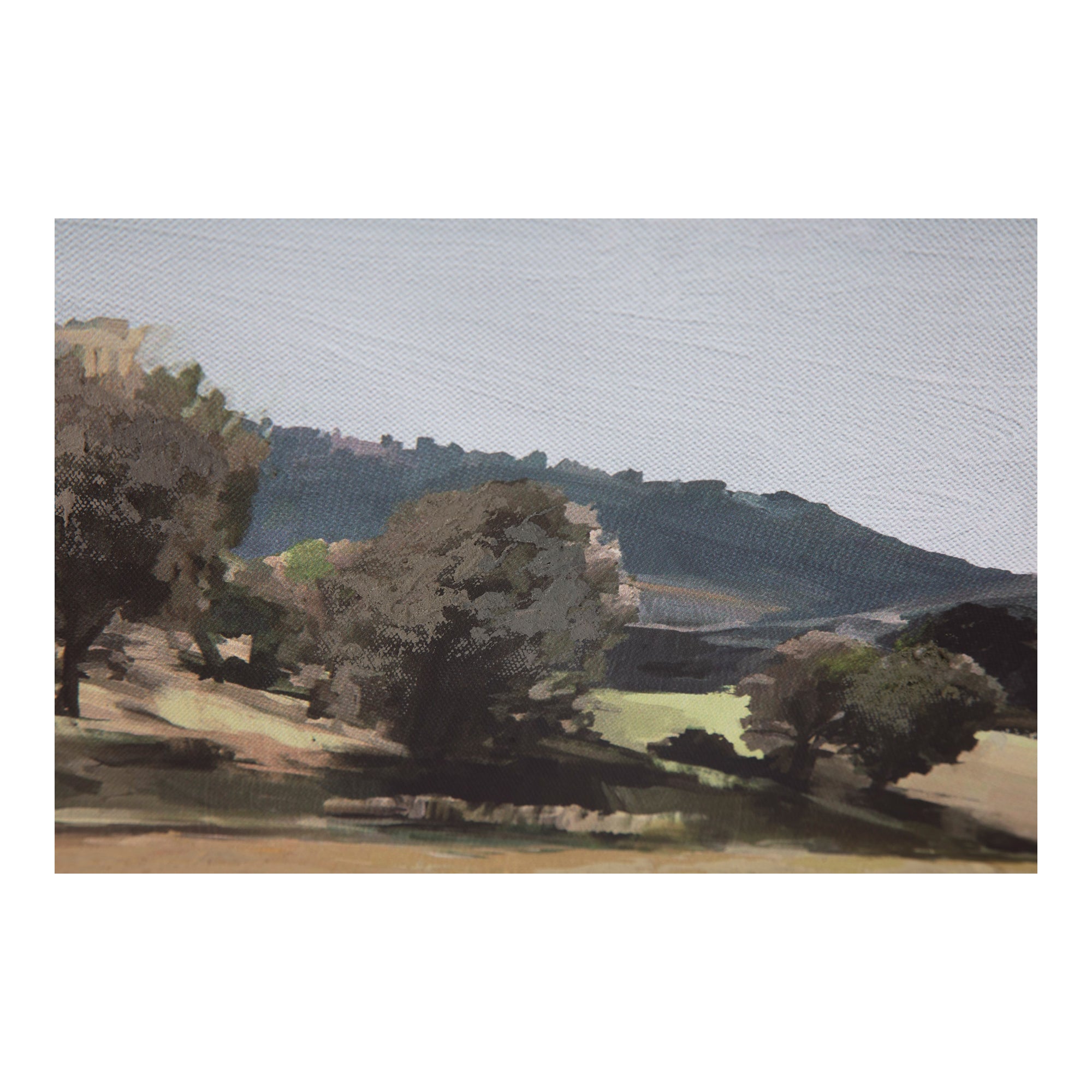 Moes Vast Country Framed Painting WP-1265-37